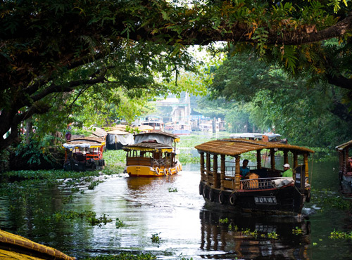 Devikulam, Kerala Tourism Places, Grassroot Holidays