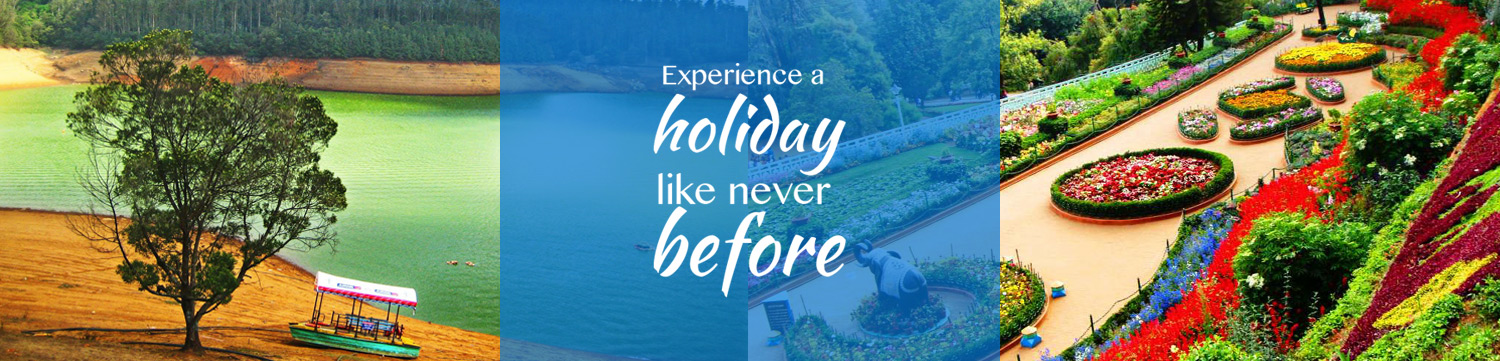 House boat Kerala, Back water tourism kerala, Kumarakom, Alapuzha HB, Grassroot Holidays