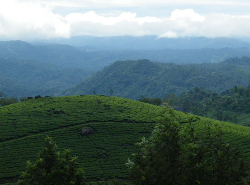 Chitirapuram, Kerala, Grassroot Holidays