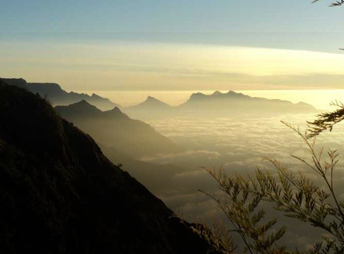 Devikulam, Kerala Tourism Places, Grassroot Holidays