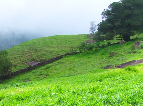 Vythiri Tourist places, kerala, Grassroot Holidays