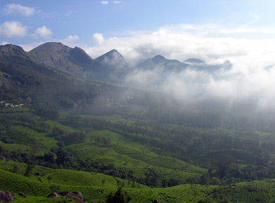 Cochin, Kerala