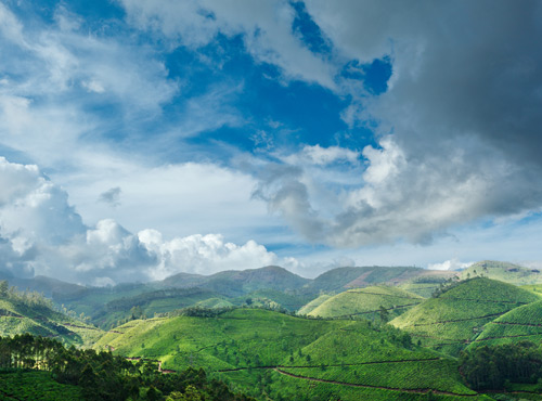 Devikulam, Kerala Tourism Places, Grassroot Holidays