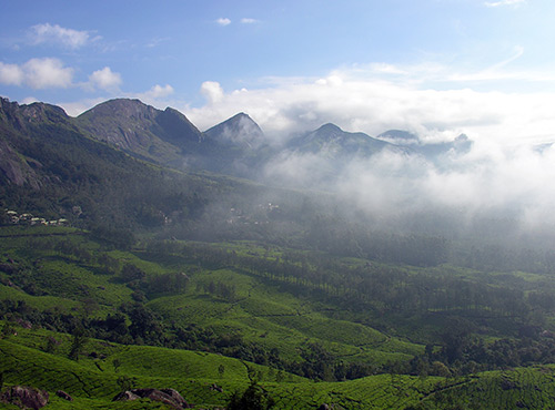 Devikulam, Kerala Tourism Places, Grassroot Holidays