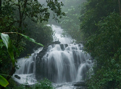 Cochin, Kerala
