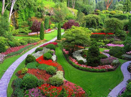 Devikulam, Kerala Tourism Places, Grassroot Holidays
