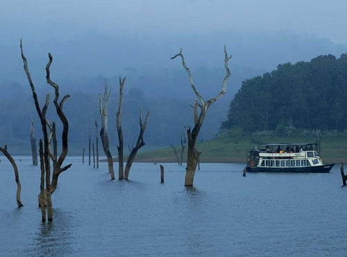 Munnar Tourism Kerala, Places in Kerala, Grassroot Holidays