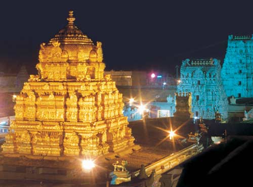 Devikulam, Kerala Tourism Places, Grassroot Holidays