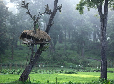 South India Toursm, Places to visit South India