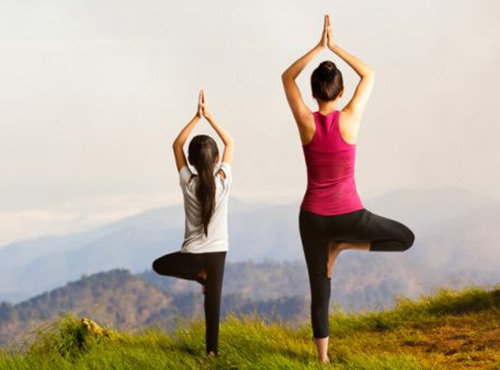 Munnar Tourism Kerala, Places in Kerala, Grassroot Holidays